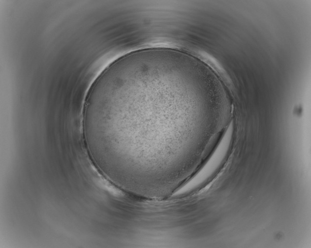 X0000092301236200709141313