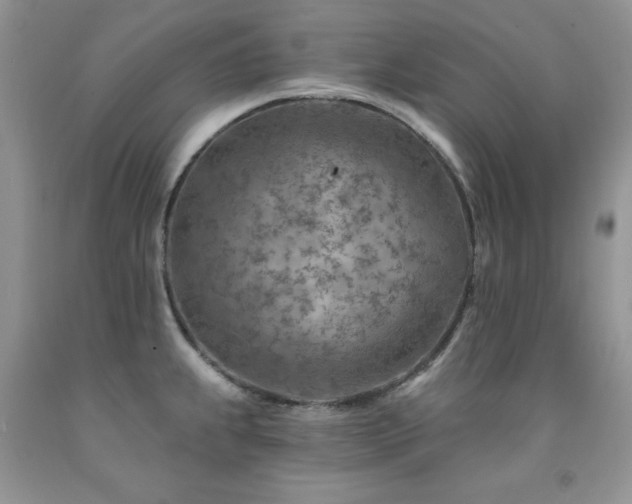 X0000092301239200709141313