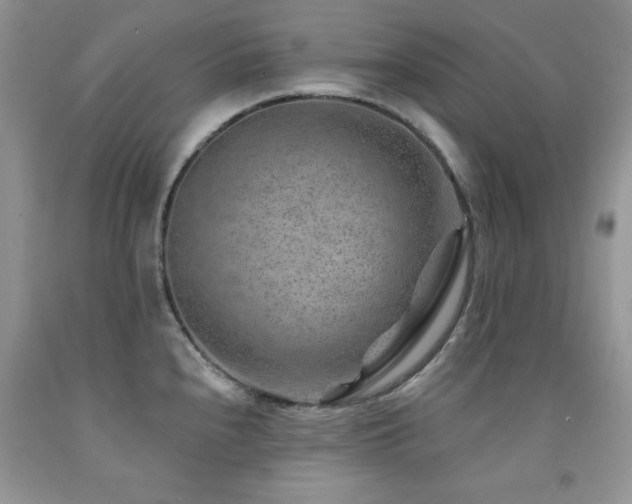 X0000092301240200709141313