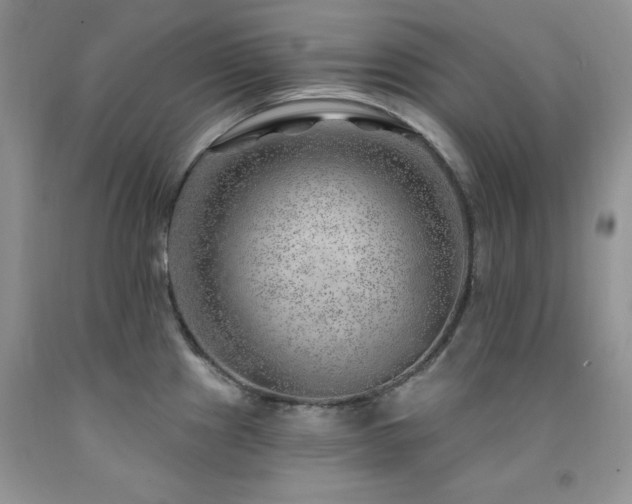 X0000092301241200709141313