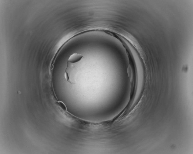 X0000092301242200709141313
