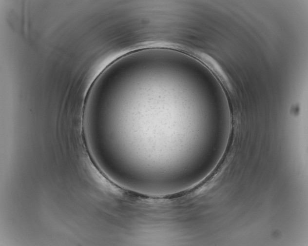 X0000092301244200709141313