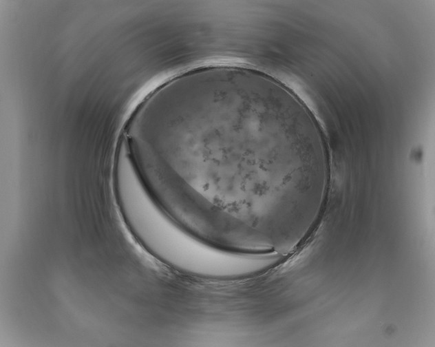 X0000092301245200709141313
