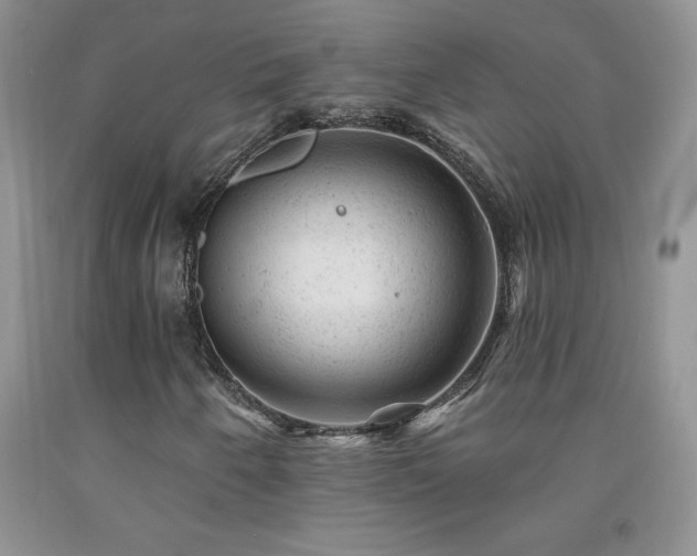 X0000092301250200709141313