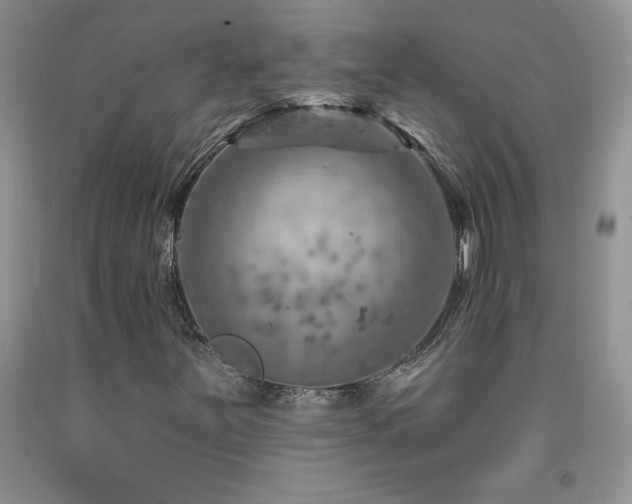 X0000092301251200709141313