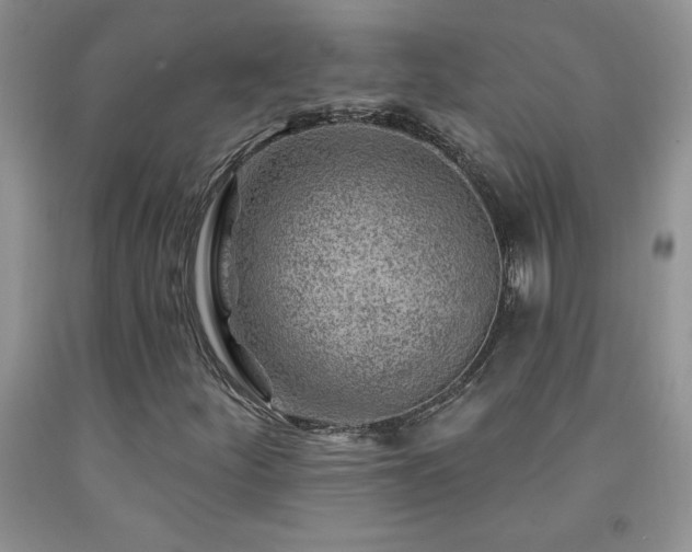 X0000092301252200709141313