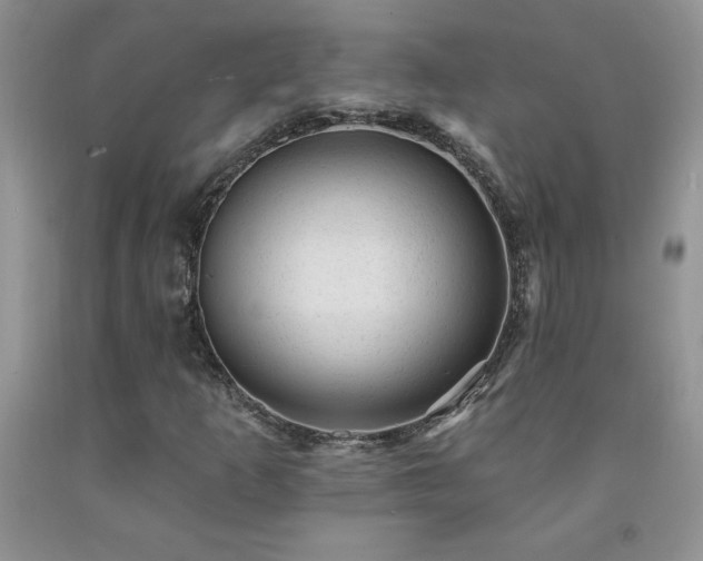 X0000092301253200709141312