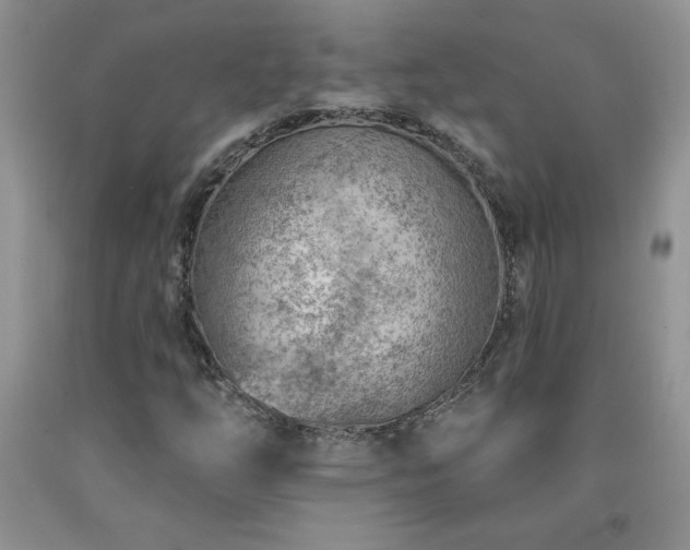 X0000092301254200709141312