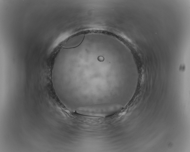 X0000092301255200709141312