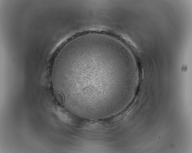 X0000092301256200709141312