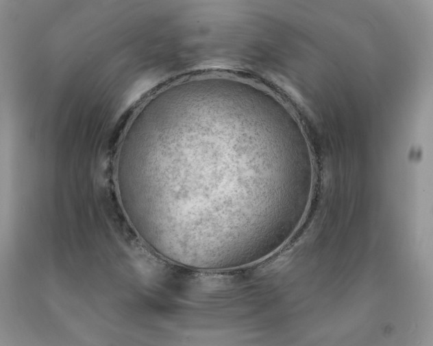 X0000092301258200709141312