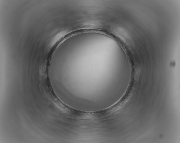 X0000092301259200709141312