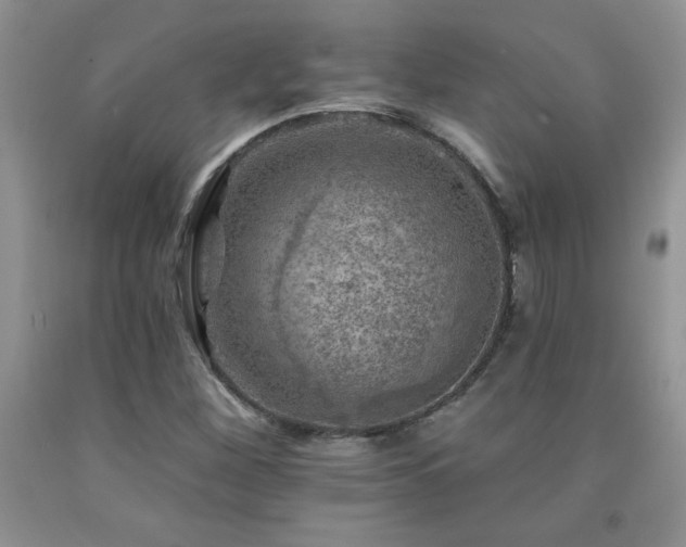 X0000092301260200709141312