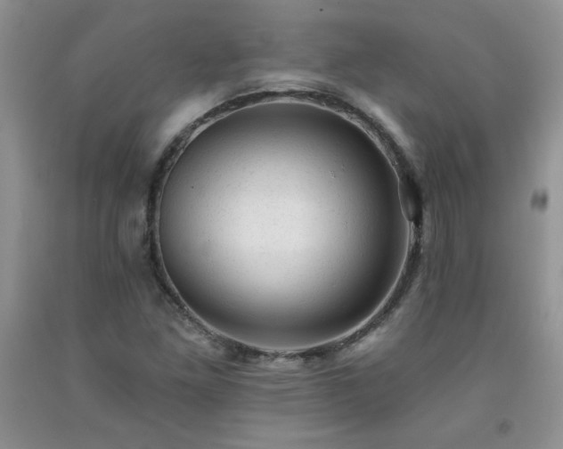 X0000092301261200709141312