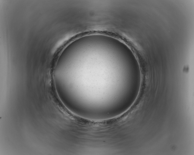 X0000092301262200709141312
