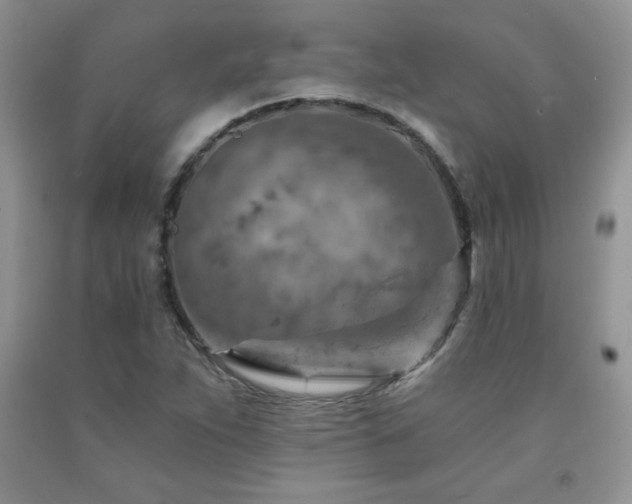 X0000092301263200709141312