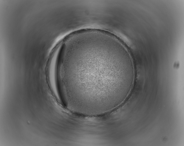 X0000092301264200709141312