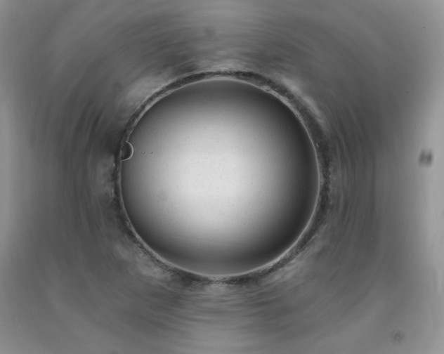 X0000092301265200709141312