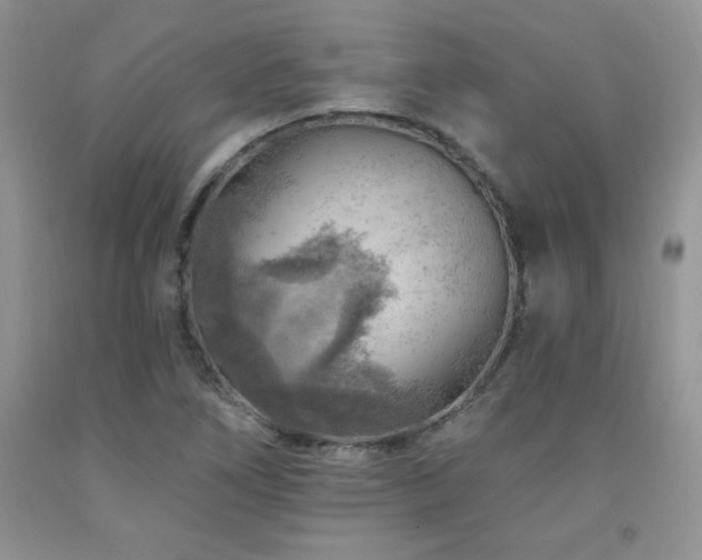 X0000092301266200709141312