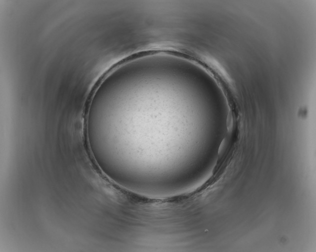 X0000092301268200709141312