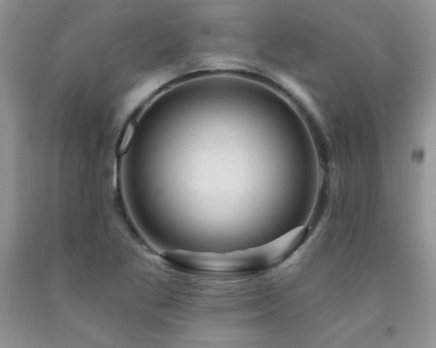 X0000092301269200709141312