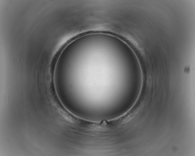 X0000092301270200709141312