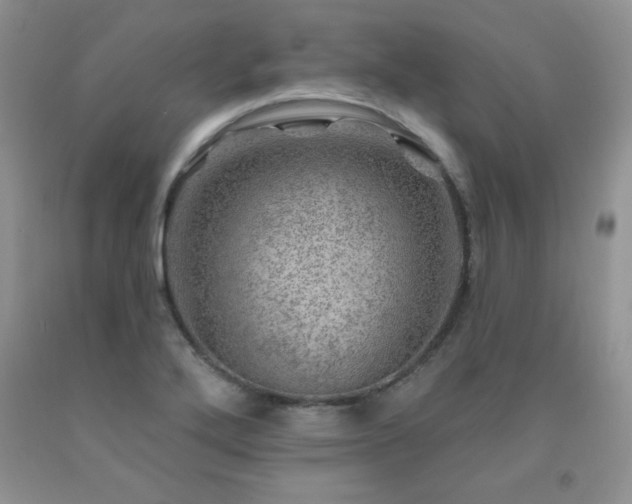 X0000092301272200709141312
