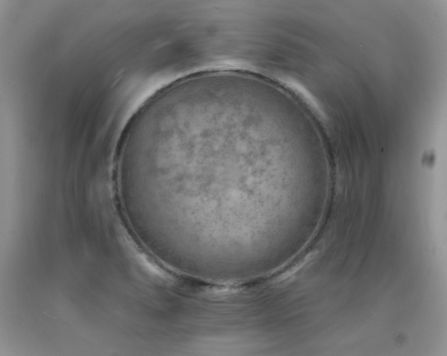 X0000092301278200709141312