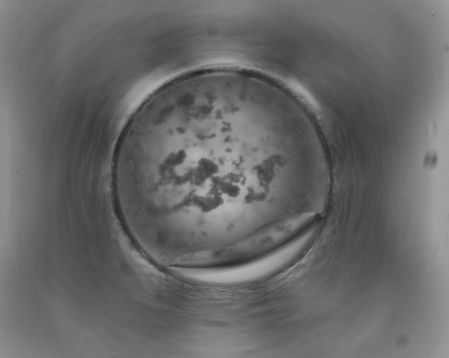 X0000092301279200709141312