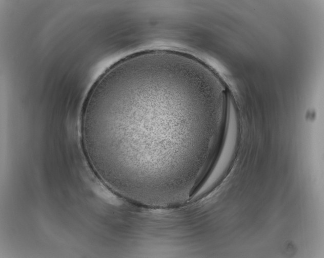 X0000092301280200709141312