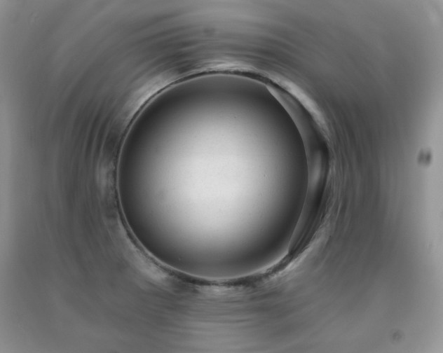 X0000092301281200709141312
