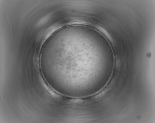 X0000092301282200709141312