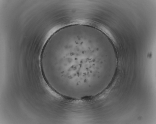 X0000092301283200709141312