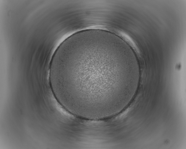 X0000092301284200709141312