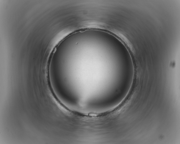 X0000092301285200709141312