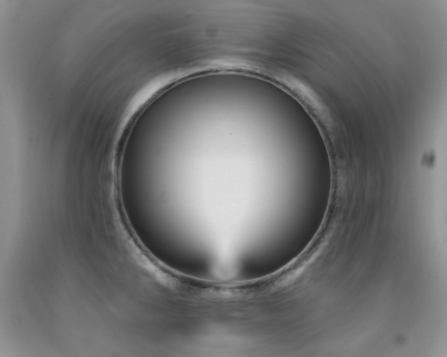 X0000092301286200709141312