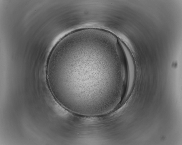 X0000092301288200709141312
