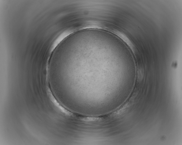X0000092301290200709141312