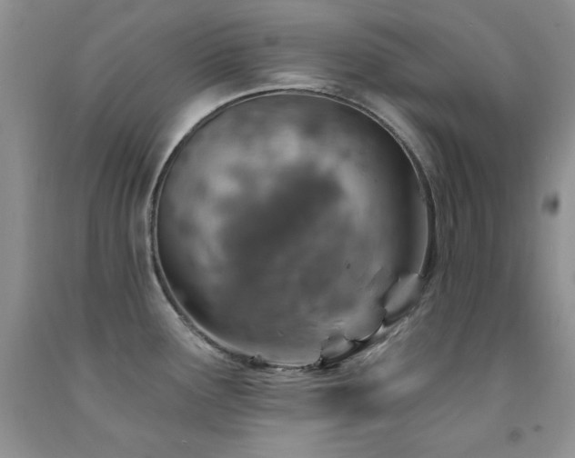 X0000092301291200709141312