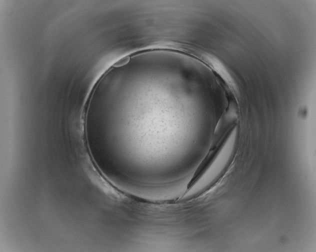 X0000092301292200709141312