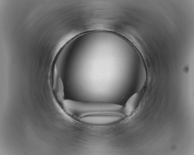 X0000092301293200709141312