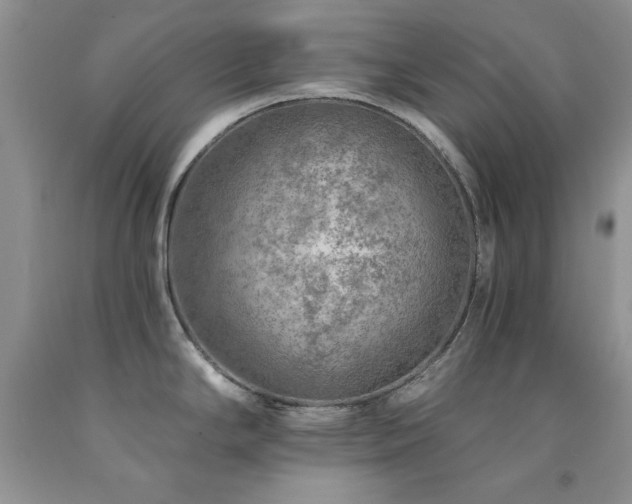 X0000092301294200709141312