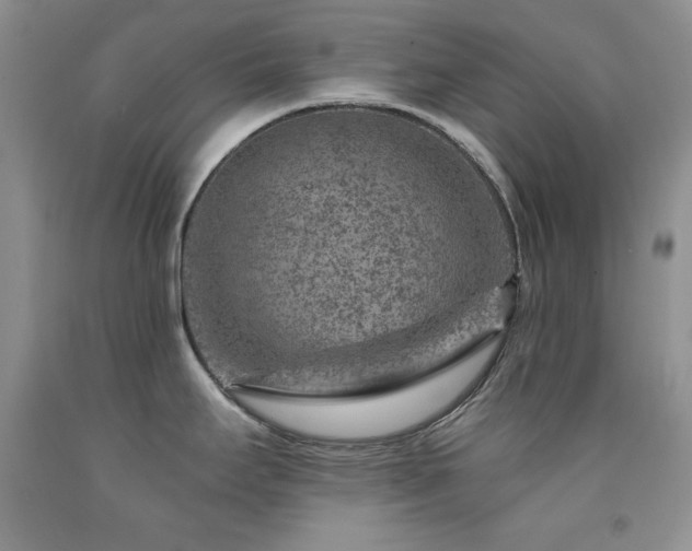 X0000092301295200709141312