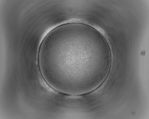 X0000092301296200709141312