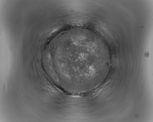 X0000092301297200709141311