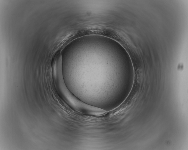 X0000092301298200709141311