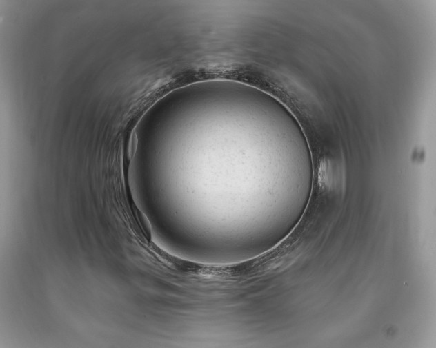 X0000092301299200709141311