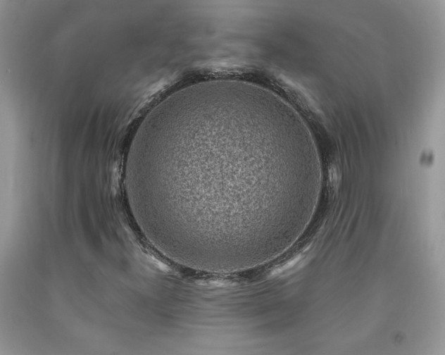 X0000092301300200709141311