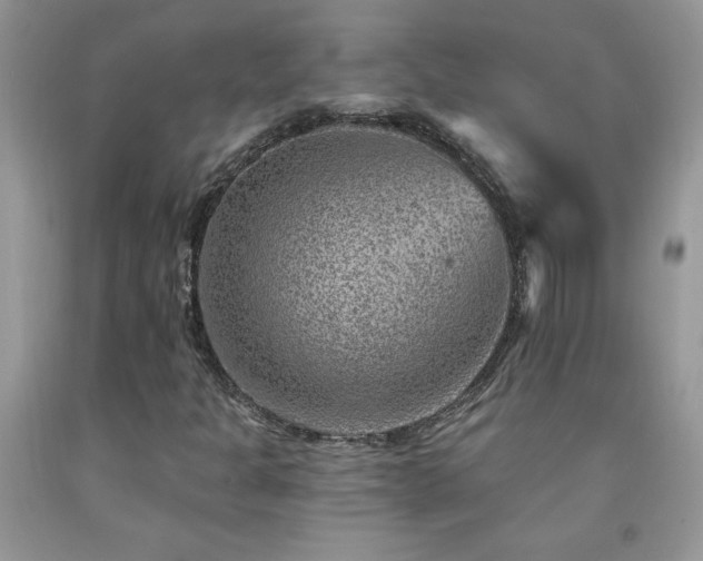 X0000092301301200709141311