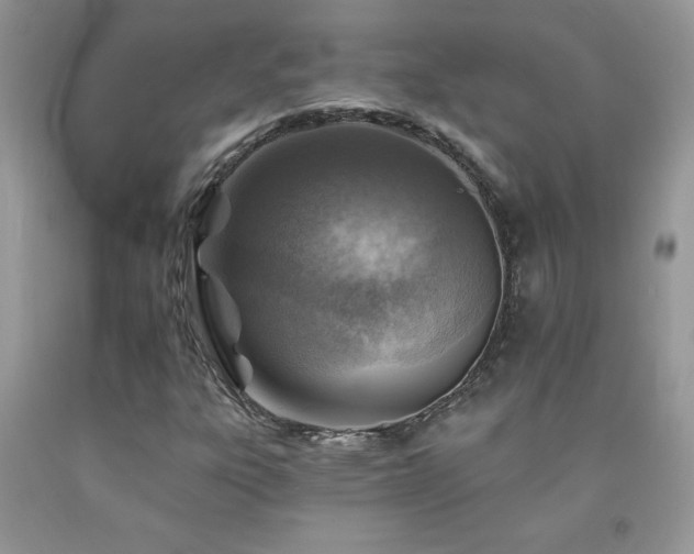 X0000092301303200709141311